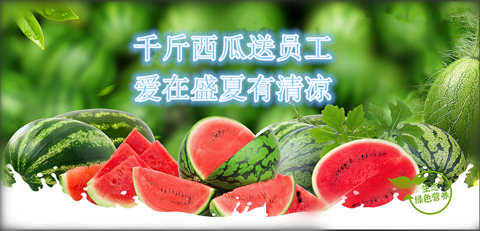 通達軟件公司： 千斤西瓜送員工，愛在盛夏有清涼